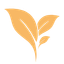 prmo icon